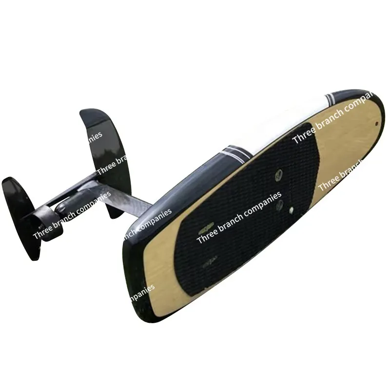 3000W High Power Upright Paddl - Electric Surfboard 3000W 评论和价格