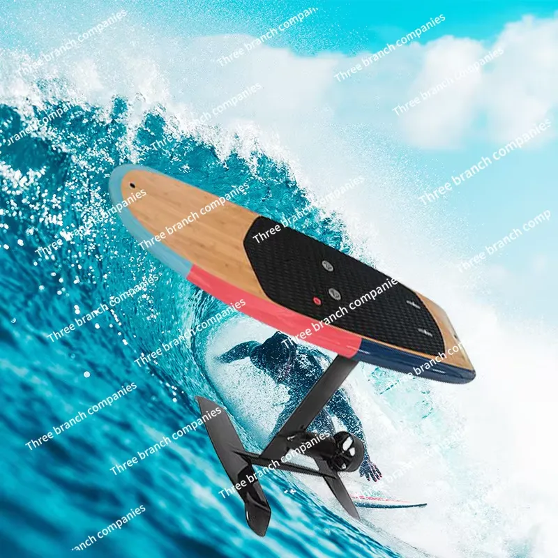 3000W High Power Upright Paddl - Electric Surfboard 3000W 评论和价格