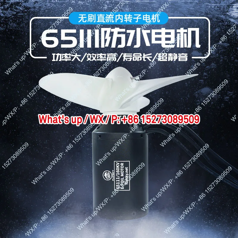 IP68 Class 65111 DC Brushless  - Electric Surfboard 3000W 评论和价格