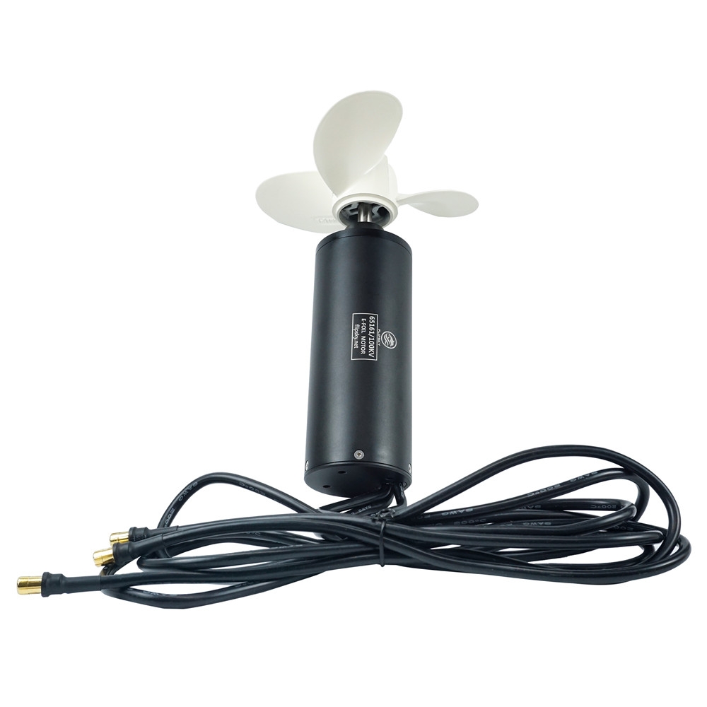 Flipsky 65161 Brushless Motor  - Efoil Remote Control Waterproof 评论和价格
