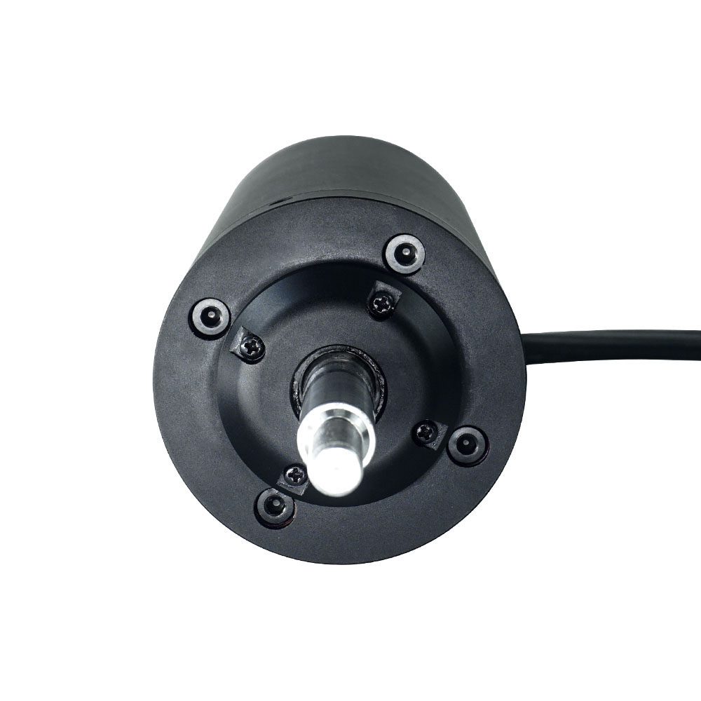 Flipsky 65161 Brushless Motor  - Efoil Remote Control Waterproof 评论和价格