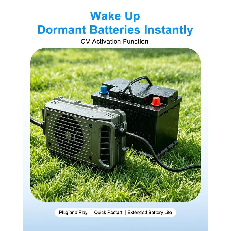LNLEE LN1500W 48V 25A Lightwei - Electric Surfboard Battery Charger 评论和价格