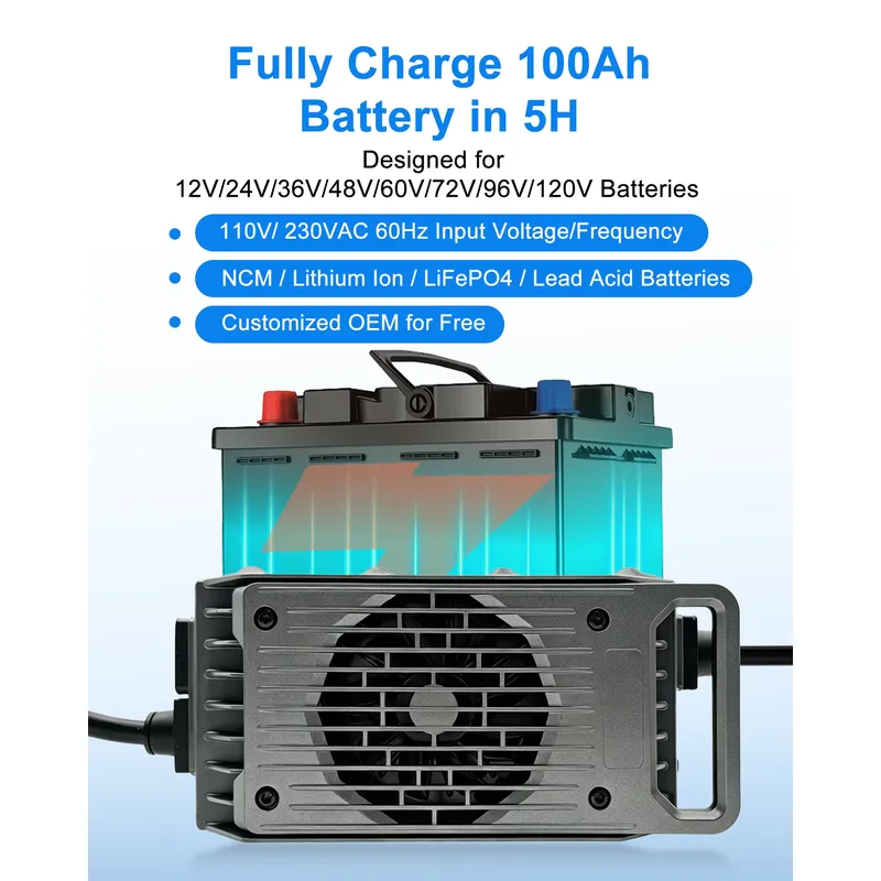 LNLEE LN1500W 48V 25A Lightwei - Electric Surfboard Battery Charger 评论和价格